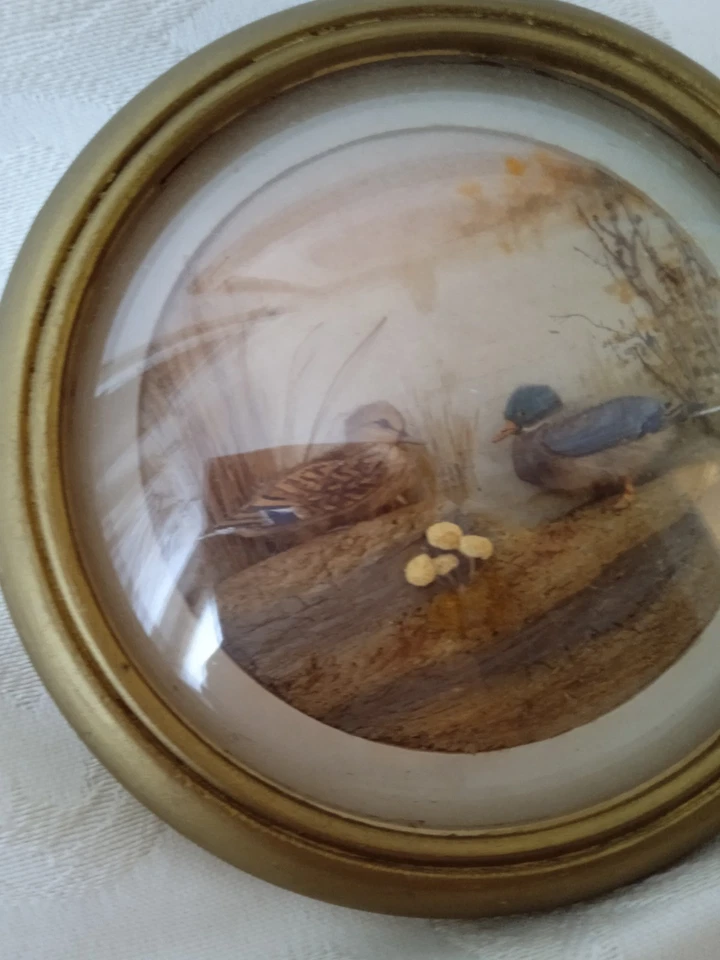Mallards (Version 2) (5-inch)